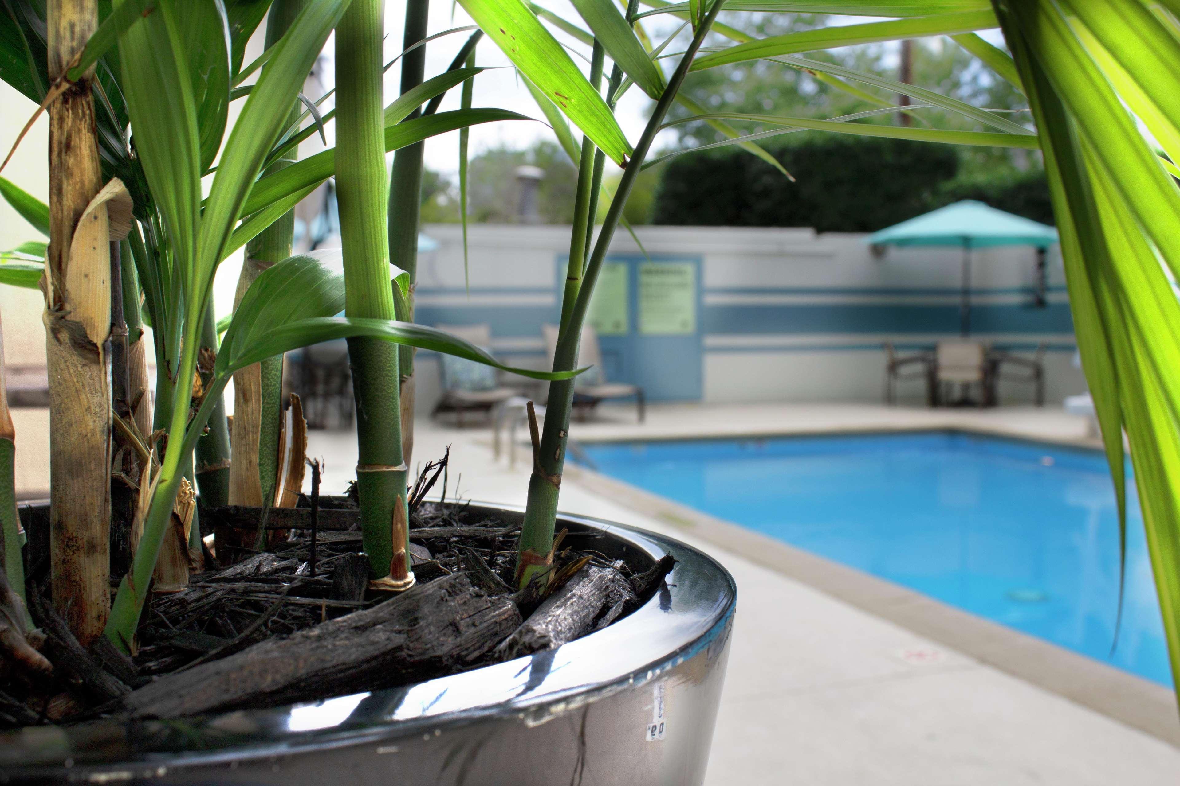 Hotel Doubletree By Hilton Charlotte Uptown Exterior foto